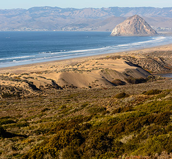 BEACHWALKER INN, CAYUCOS ATTRACTIONS